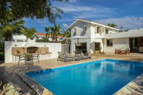 At Last You can Rent the Perfect Luxury Villa in Larnaca, Larnaca Villa 1392